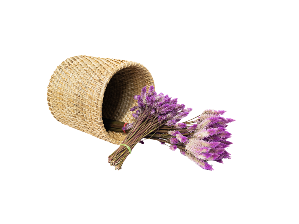 Decorative